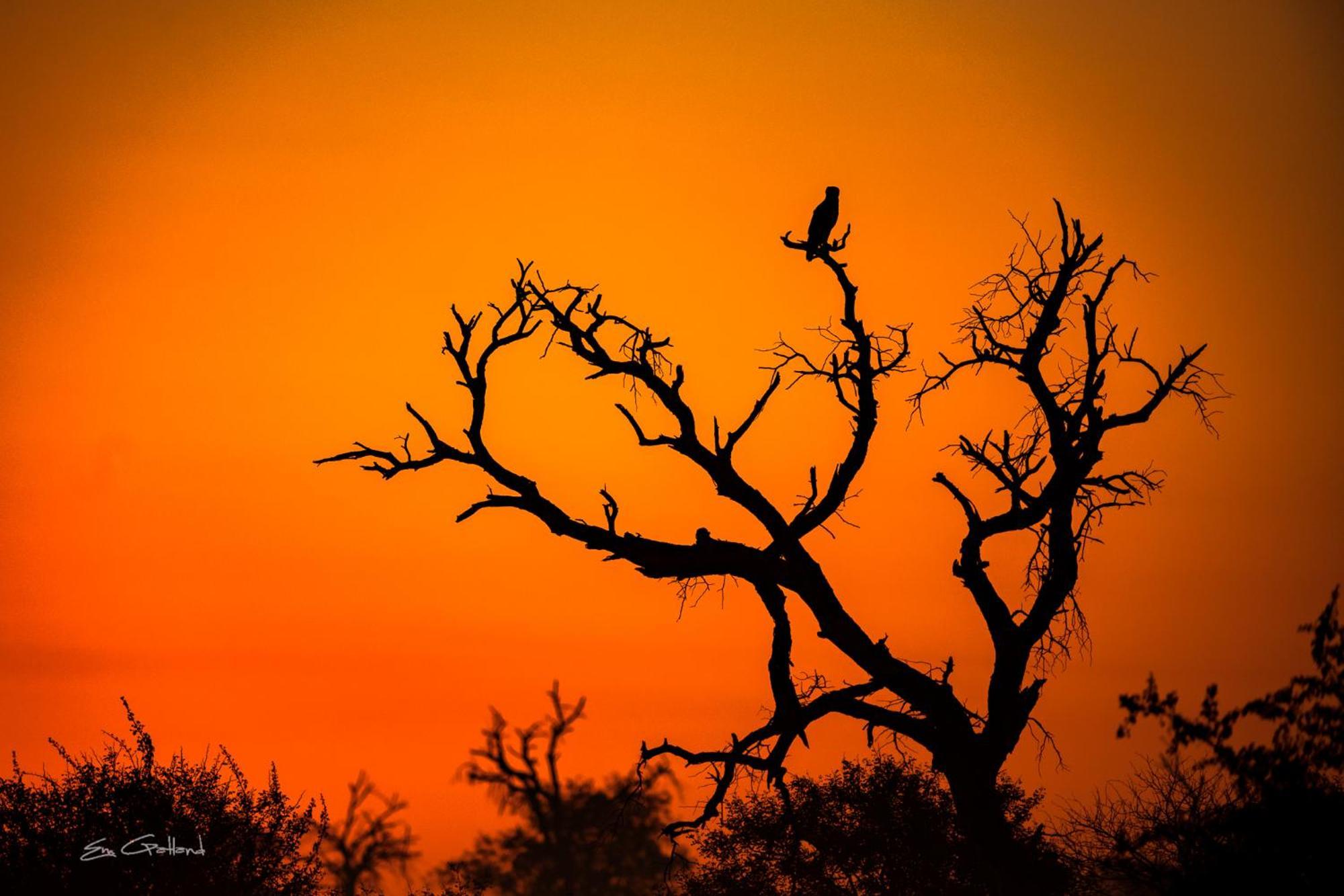 Вілла Africa On Foot приватний заповідник Класері Екстер'єр фото