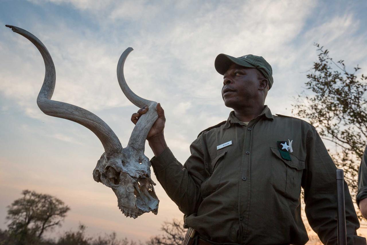 Вілла Africa On Foot приватний заповідник Класері Екстер'єр фото