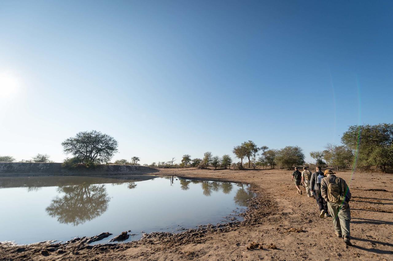 Вілла Africa On Foot приватний заповідник Класері Екстер'єр фото